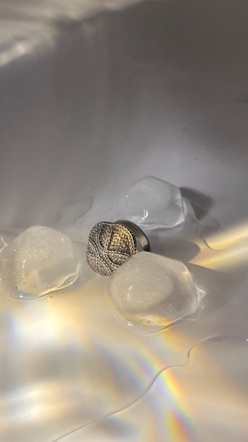 Textured Pavé Dome Ring | silver-Tone Stainless Steel